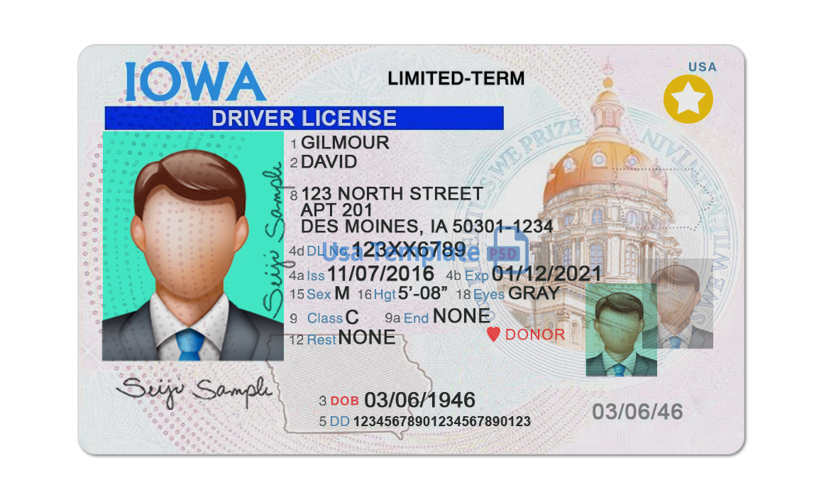 free drivers license photoshop template